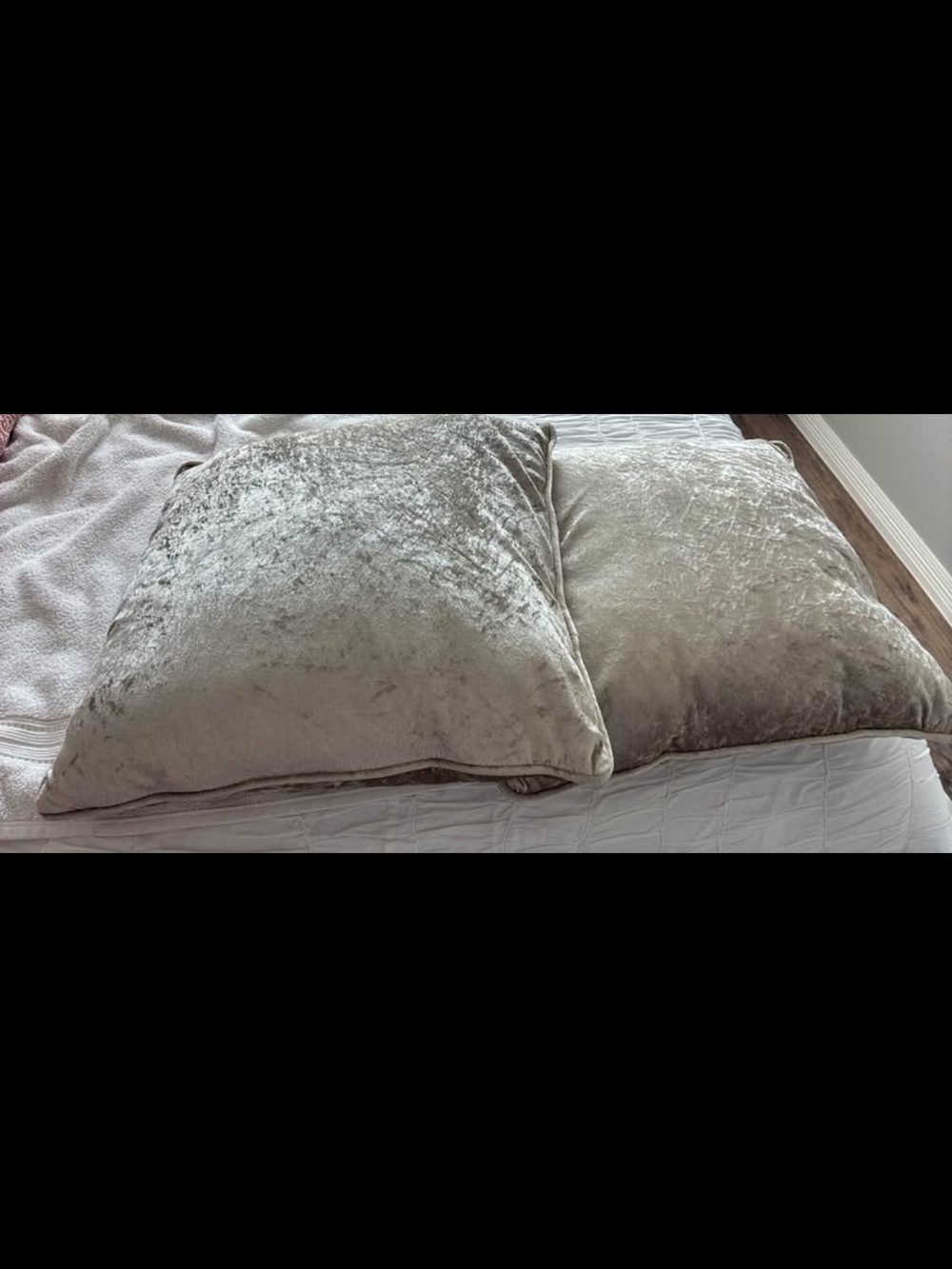Luxurious Plush Velvet Pillowcase - Silver Beige